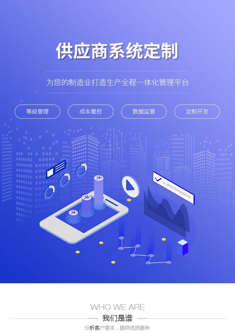 系统定制：如何选择适合你的最佳方案？